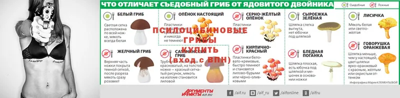 где найти наркотики  Шумерля  Псилоцибиновые грибы ЛСД 